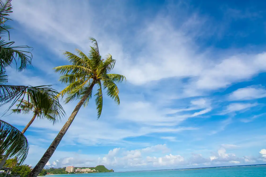 Hotels near Alona Beach