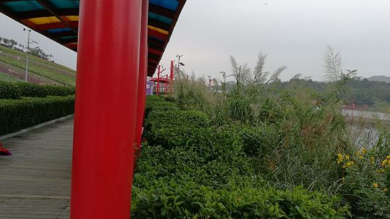 深圳东部华侨城的茶溪谷景点，交通非常便捷，景区很有特色。虽然