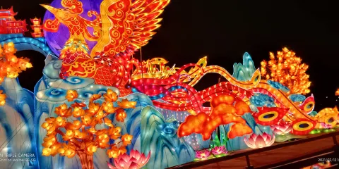 桐鄉鳳凰湖