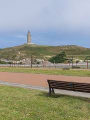 Tower of Hercules