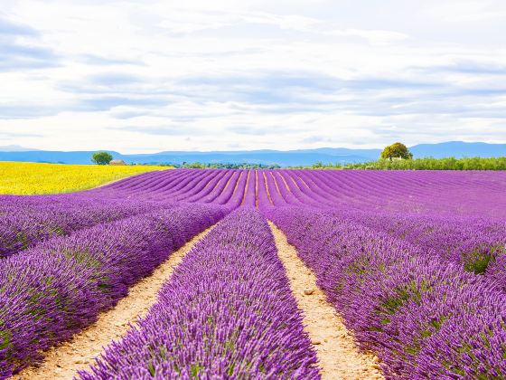 Provence