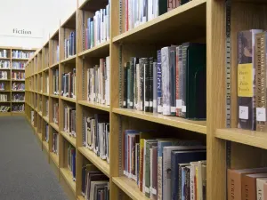 Starfield Library