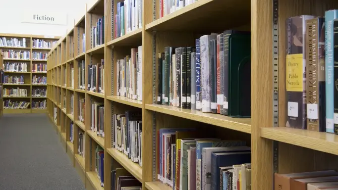 2_Starfield Library