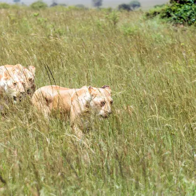Отель типа «постель и завтрак» в г. Береа