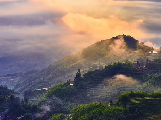 雲和梯田景區九曲雲環