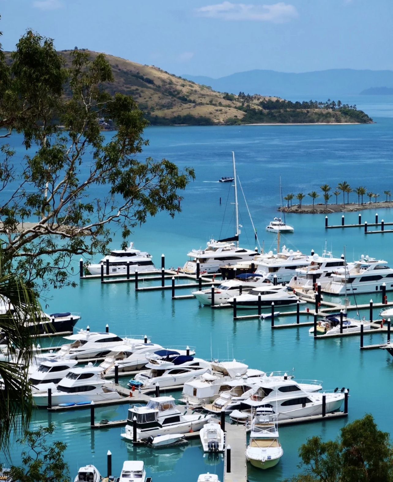 ハミルトン島のレビュー ハミルトン島のチケット ハミルトン島の割引 ハミルトン島の交通機関 所在地 営業時間 ハミルトン島周辺の観光スポット ホテル グルメ Trip Com