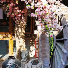 德居源 User Photo