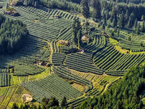 Yuping Terraces