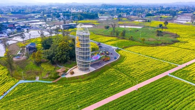 Colorful Countryside