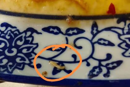 强记清汤黄牛肉·涮烤一体(吉庆路店)