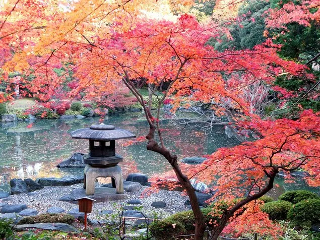 日本紅葉22 日本紅葉最佳觀賞時間 人氣賞楓景點推介 遊記攻略 Trip Com遊玩攻略