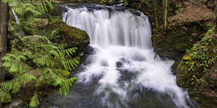 Whatcom Falls Park