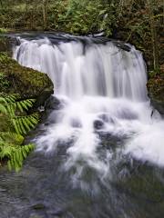 Whatcom Falls Park