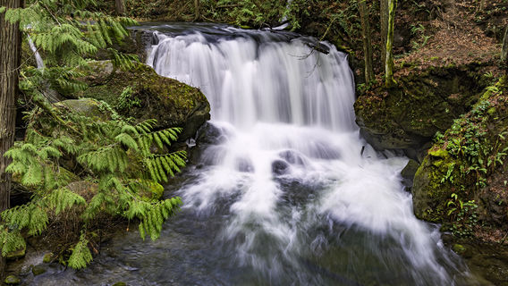 Whatcom Falls Park