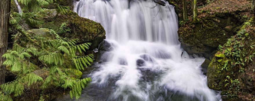 Whatcom Falls Park
