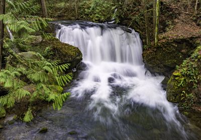 Whatcom Falls Park