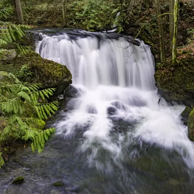 Các khách sạn ở Bellingham