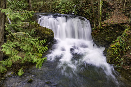 Whatcom Falls Park