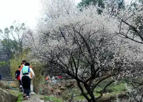 Changshabei Mountain Forest Park