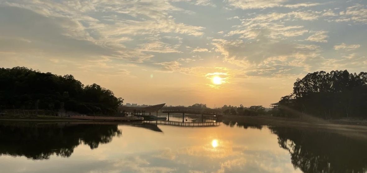 Things to Do in Shatian Town in 2024 - Top Attractions, Local Food ...