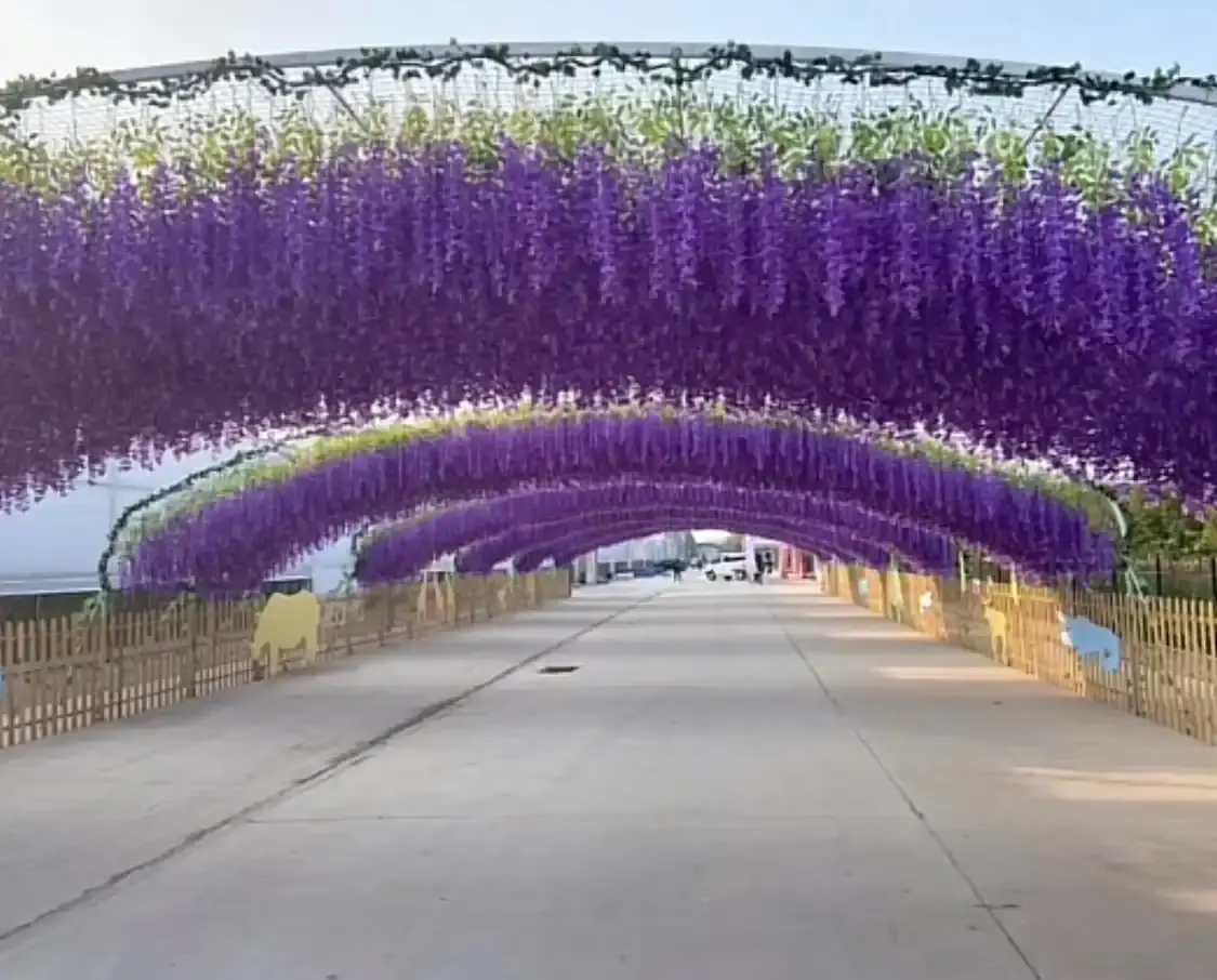 Hotels near Shanghe Flower and Seedling World