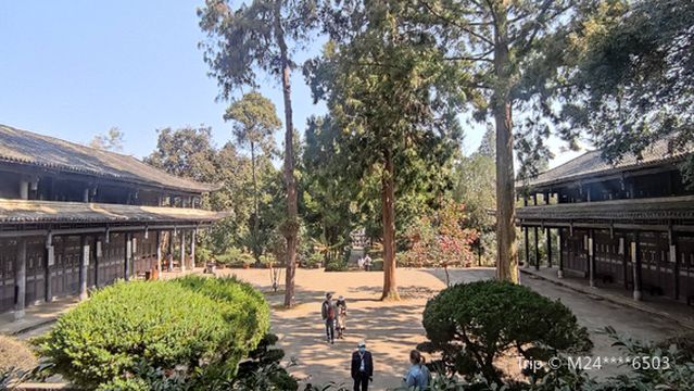 Laifengshan Chahua Base