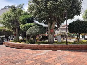 Parque Principal Jaime Rook