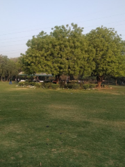 Swami Shraddhanad Park, sec 11, Dwarka