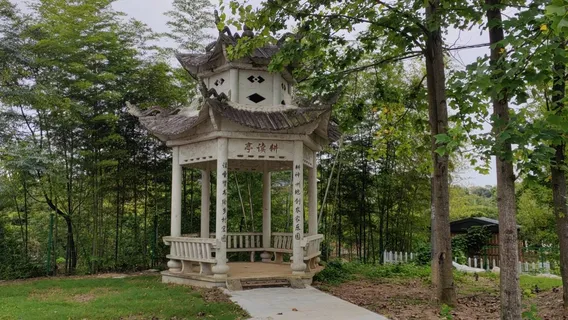 Чтение фермы