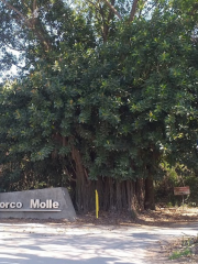 Horco Molle Roundabout