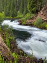 Little Spokane River Natural Area