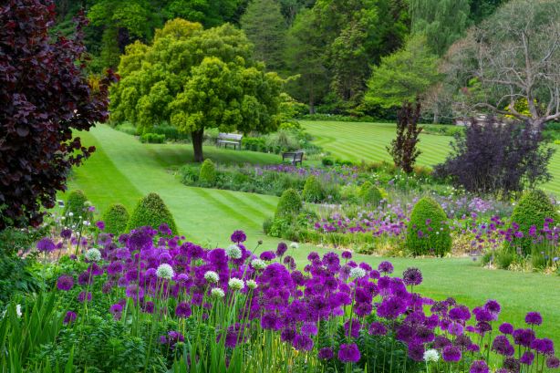 RHS Garden Harlow Carr