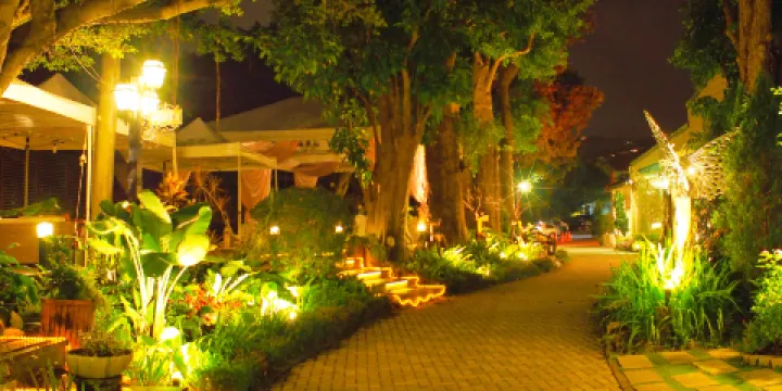 邁阿密海灘植物園