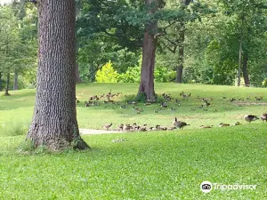 Garvin Park