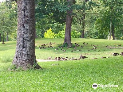 Garvin Park
