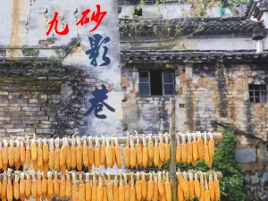 Landscape Gallery of Xin'An River