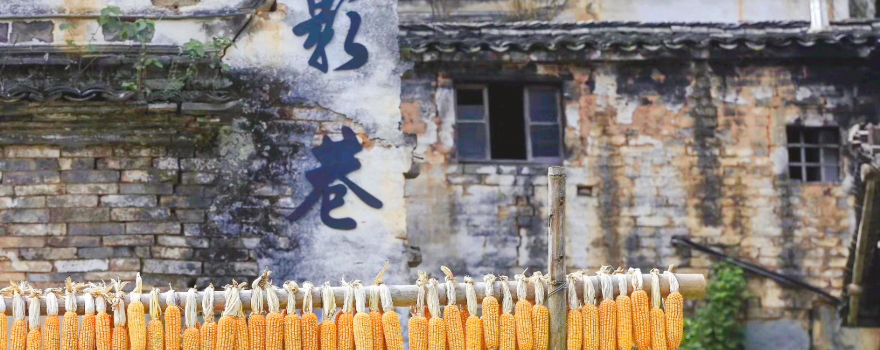 Xin'anjiang Landscape Gallery Scenic Area