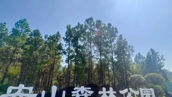 Henan Anshan Forest Park