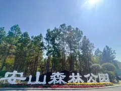 Henan Anshan Forest Park