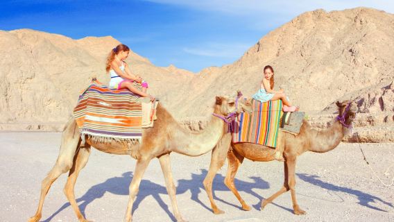 Camel-Ranch Eilat