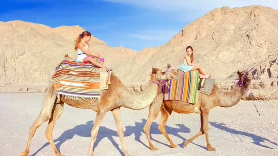 Camel-Ranch Eilat