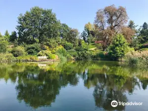 Arboretum Wojslawice
