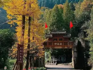 Attrazioni per la visione autunnale a Deyang: le opzioni più popolari