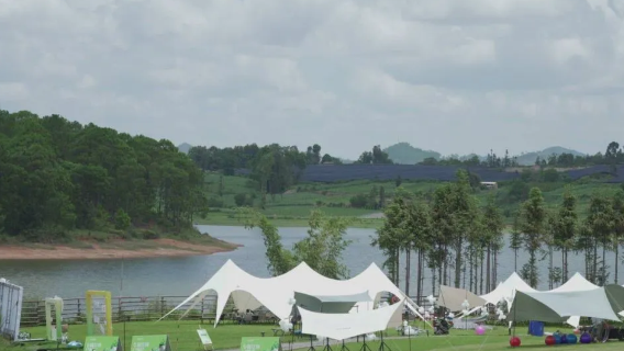 Starry Sky Whisper Resort Forest