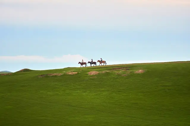 Horse Riding in Hulunbuir
