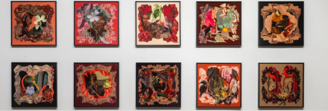 《黛博拉·赫希：植物標本館》展覽 | Hutchinson Modern & Contemporary