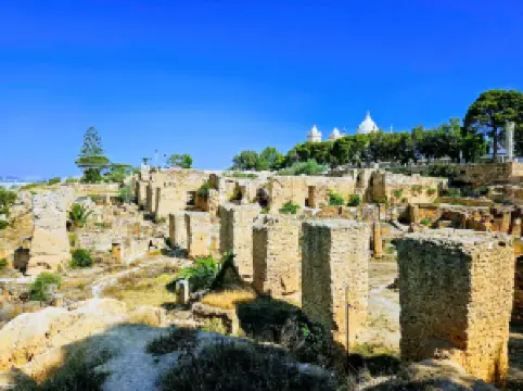 Punic Quarter of Byrsa