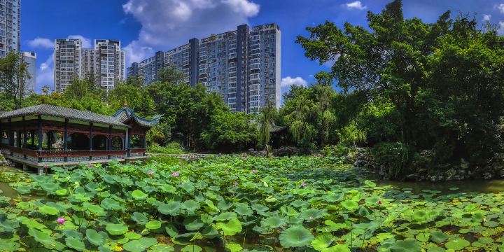 People's Park