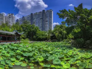 People's Park