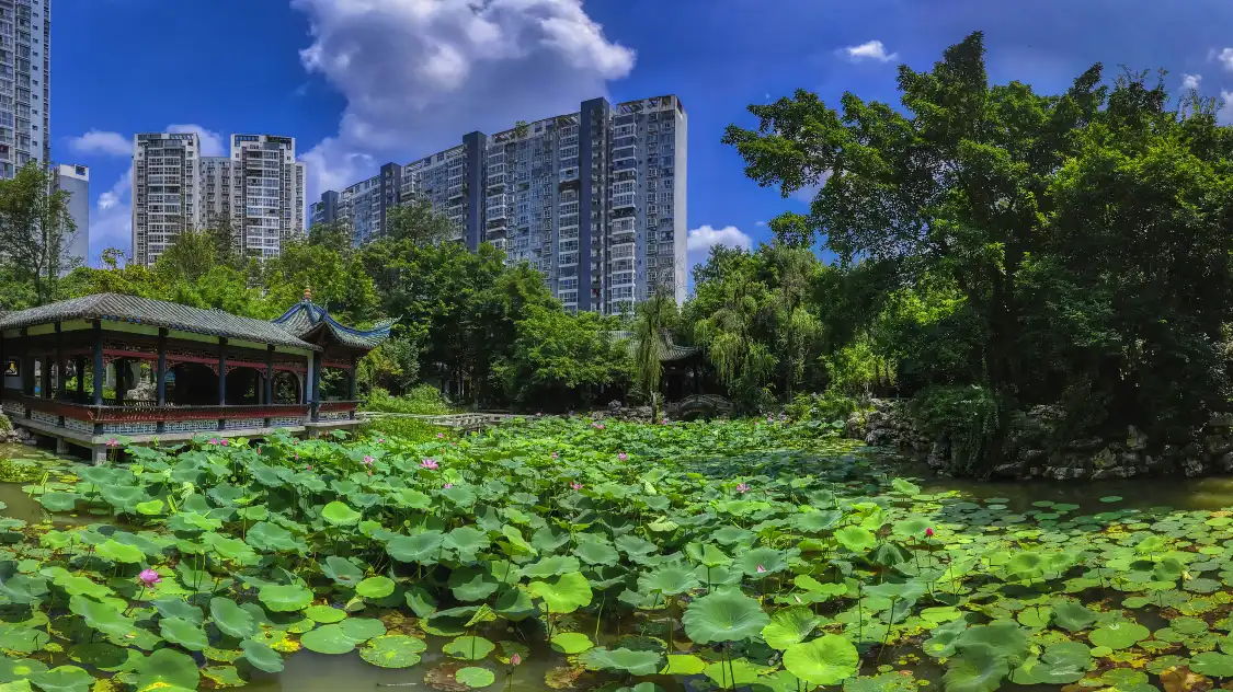 簡陽人民公園附近的飯店